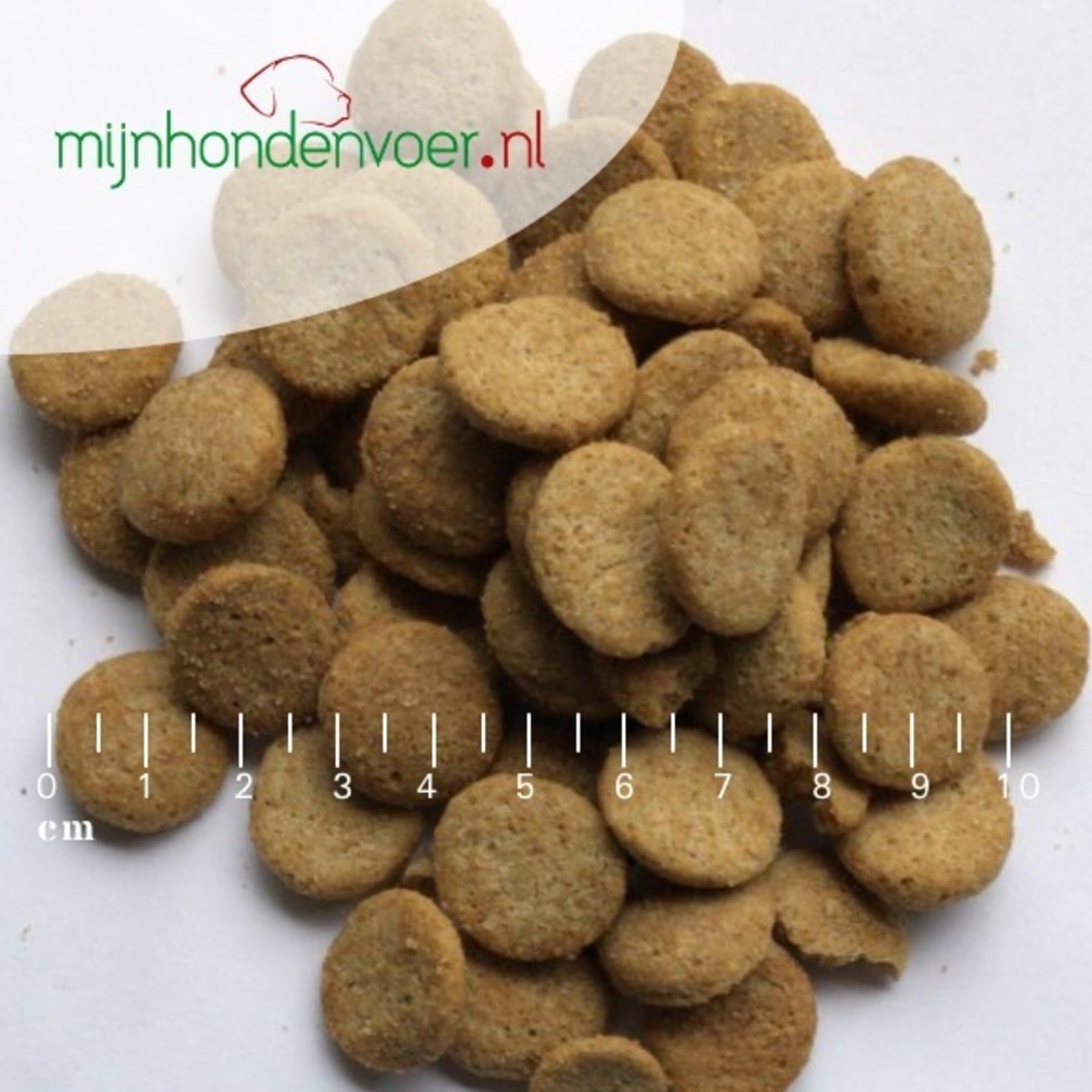 ADULT SLIMLINE LARGE BREED