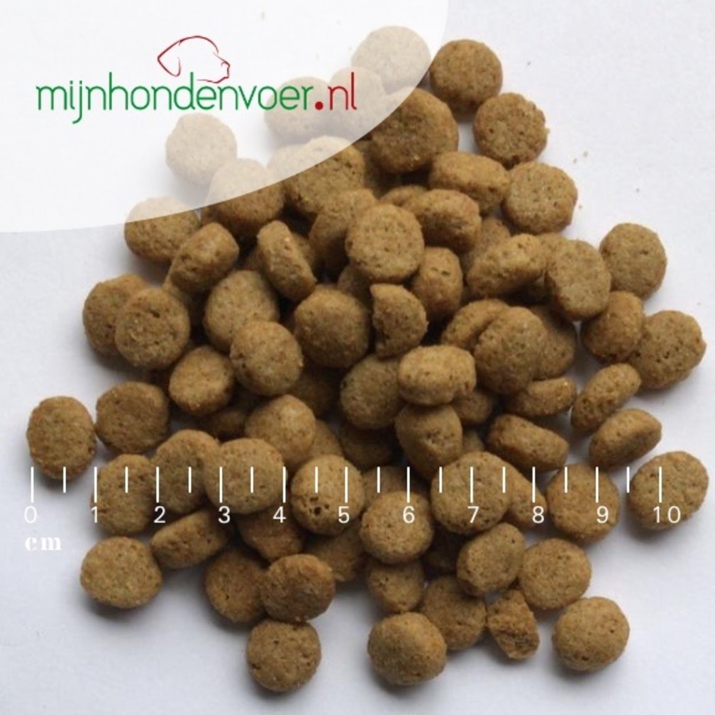 ADULT SLIMLINE MEDIUM BREED