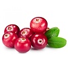 Cranberries