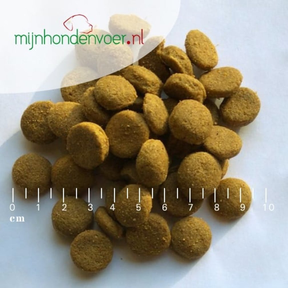 SENSITIVE ZALM LARGE BREED