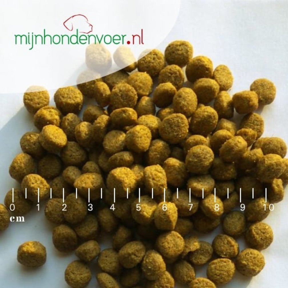 SENSITIVE ZALM MEDIUM BREED