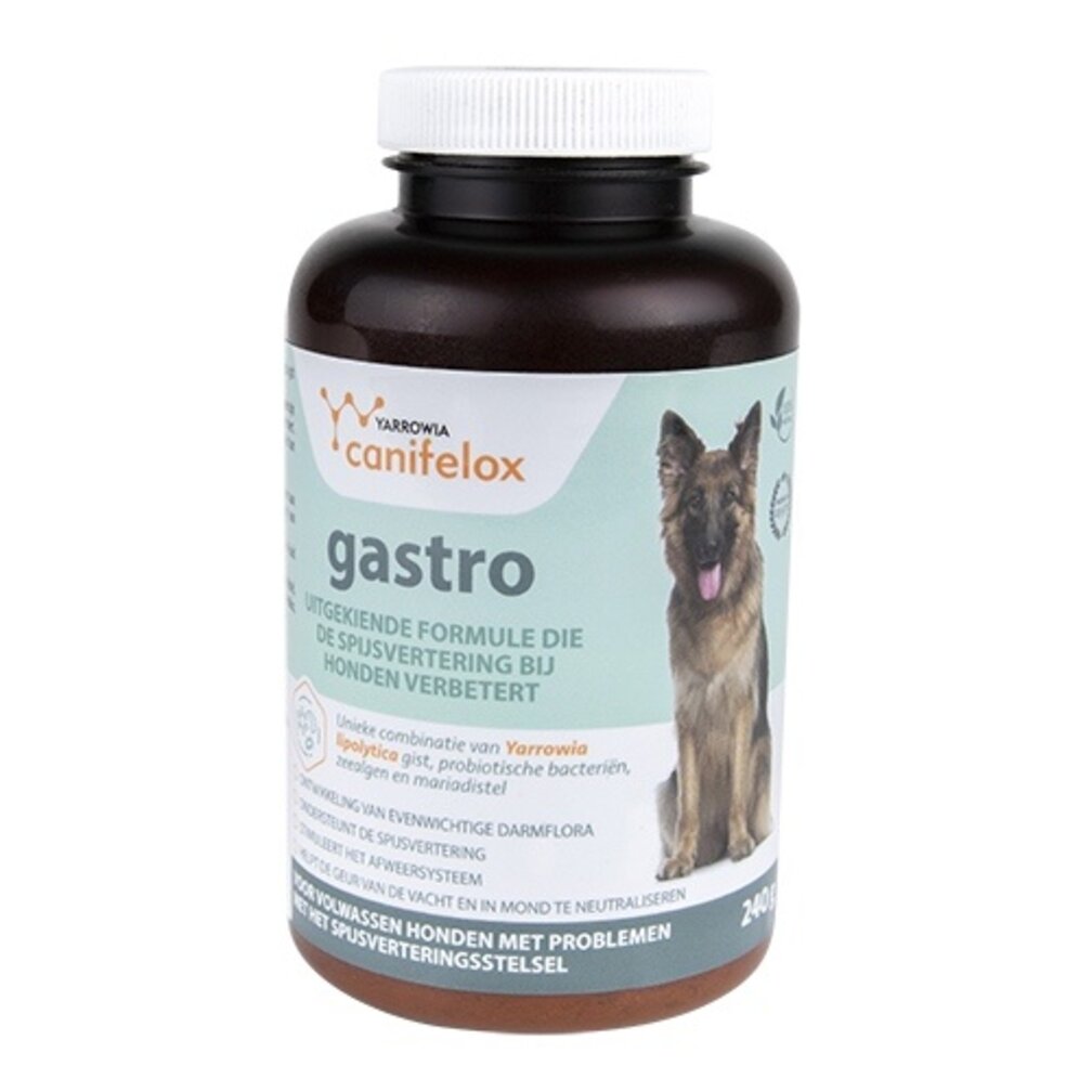 Gastro: ondersteuning van de darmen van honden