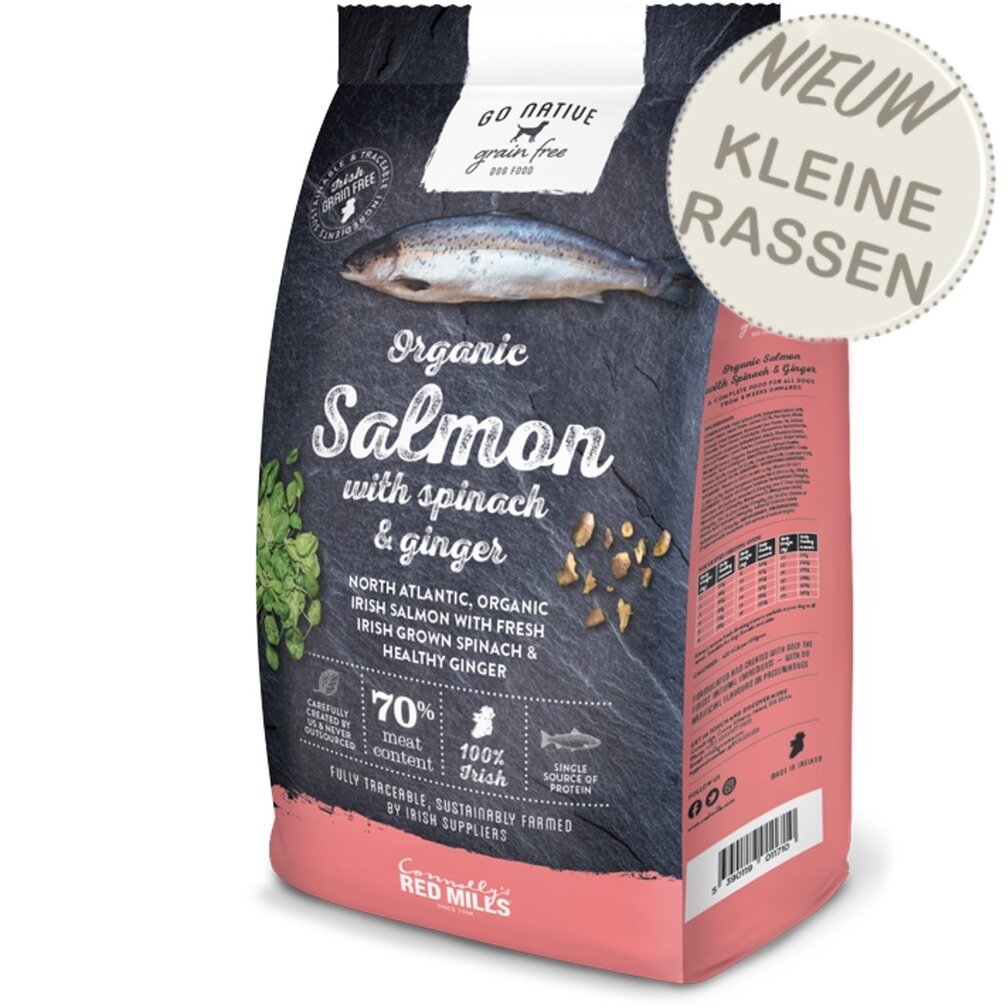 ZALM MET SPINAZIE EN GEMBER - voor kleine rassen