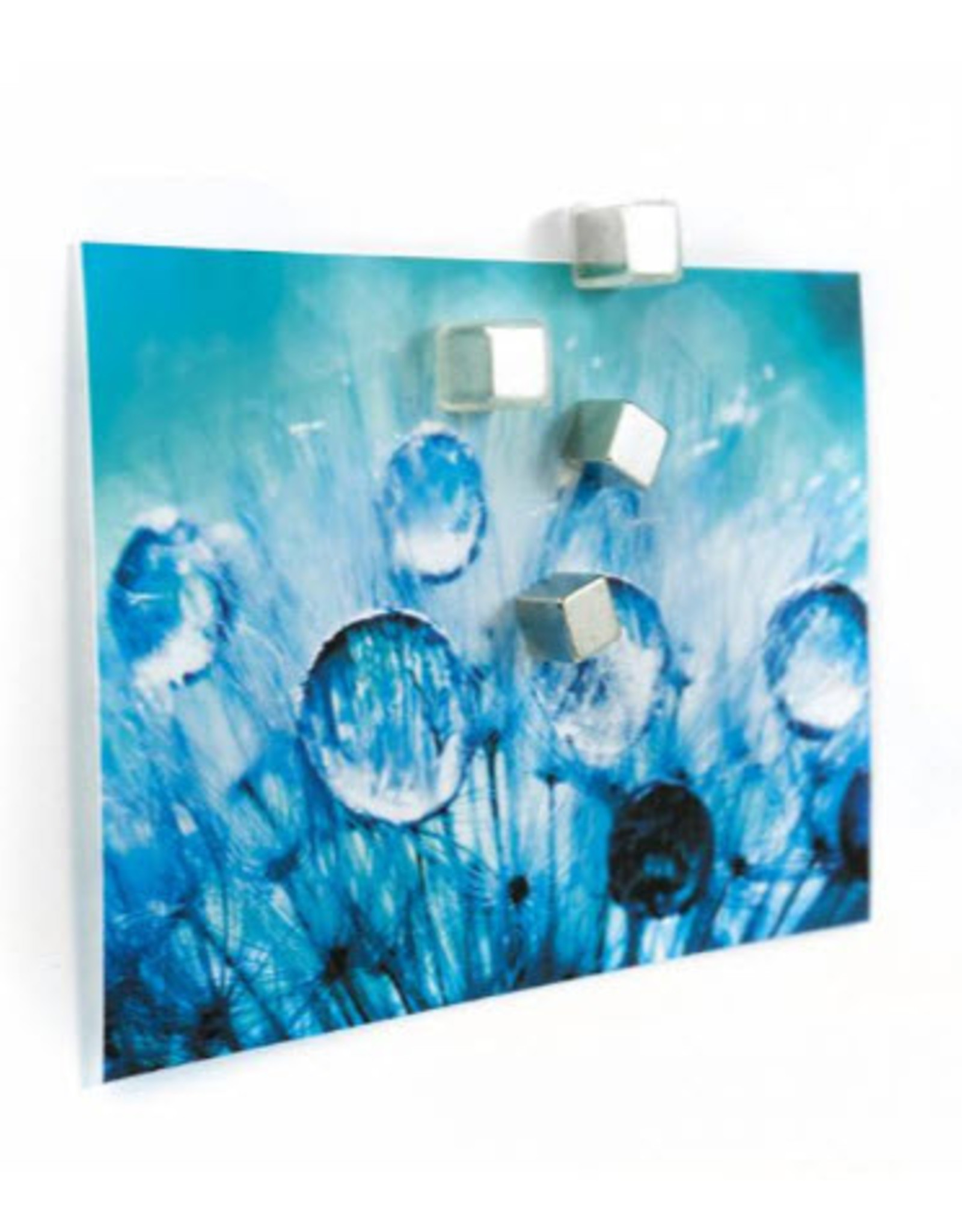 Trendform Magneten Cube Medium sterkte 5