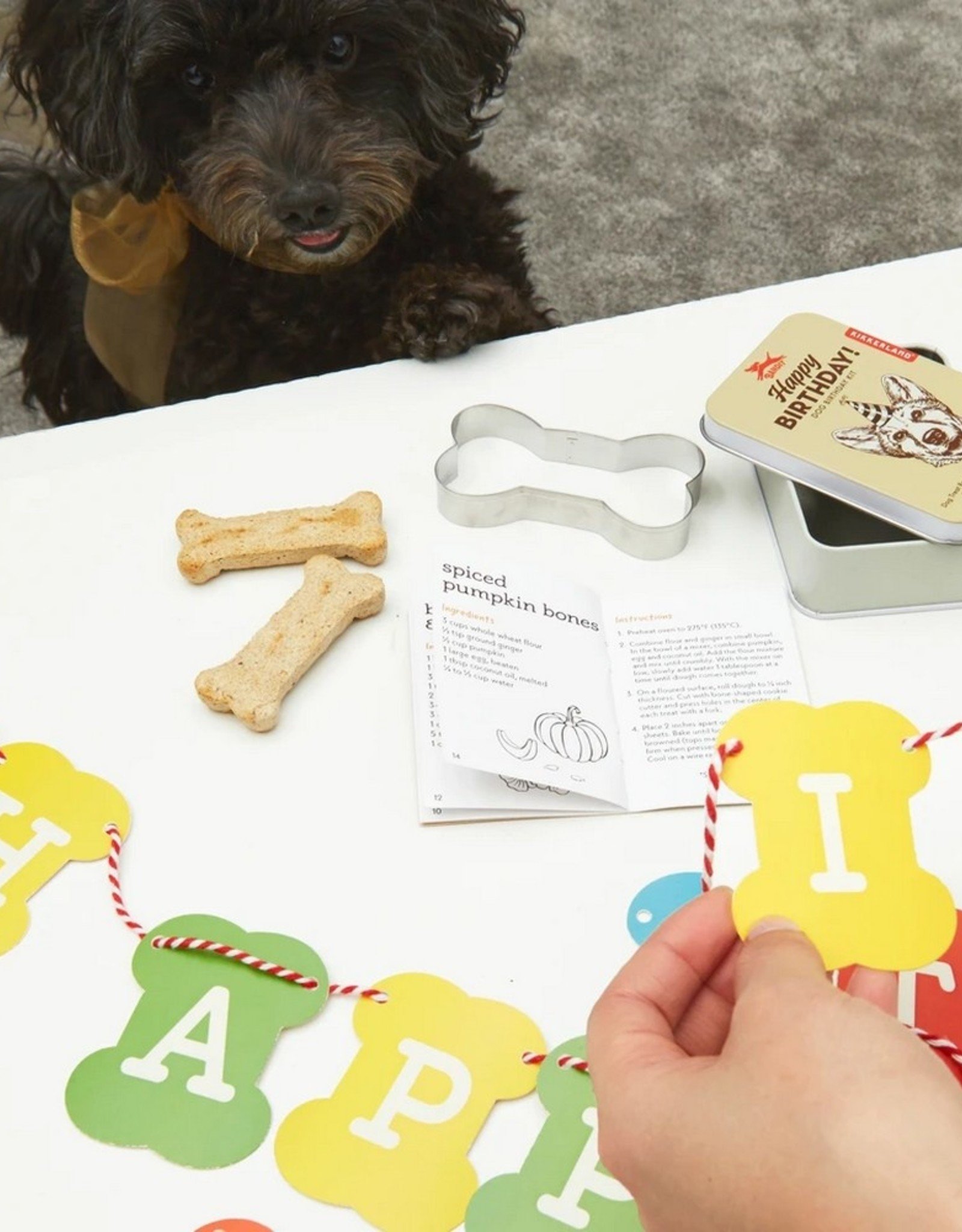 Kikkerland Dog Birthday Kit