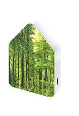 Relaxound Zwitscherbox Special Edition Forest