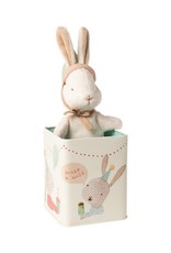 Maileg Knuffel Happy Day Bunny in box