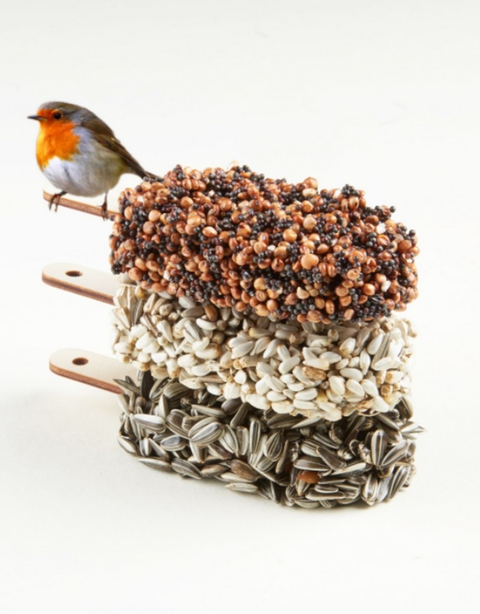Studio Carmela Bogman Desserts for Birds Indian Summer