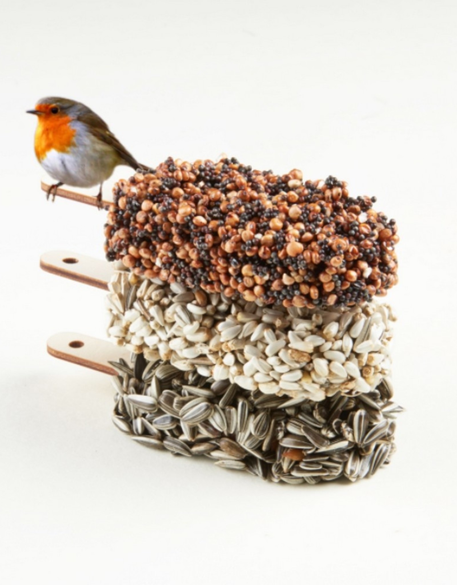 Studio Carmela Bogman Desserts for Birds Indian Summer