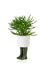 Bitten Planter Wellington Boot Klein