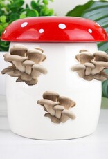 Gift Republic Mushroom Grow Kit