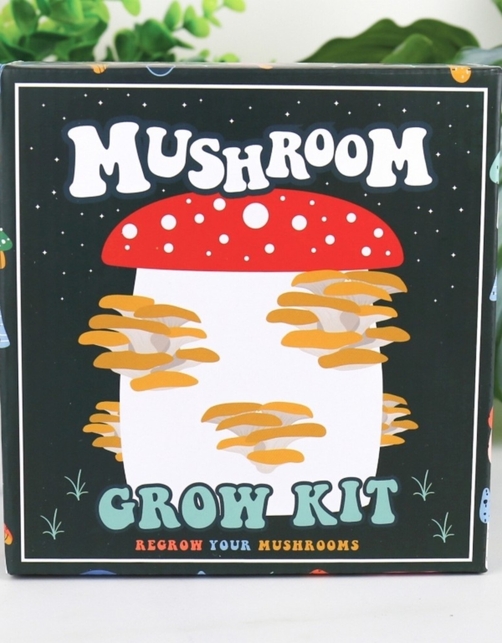 Gift Republic Mushroom Grow Kit