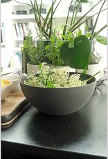 Zuperzozial Nature Mega Bowl-30 Slate Zuperzozial Nature Mega Bowl-30 Slate