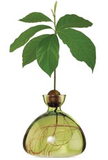 ILEX STUDIO Avocado Vaas Grass Green
