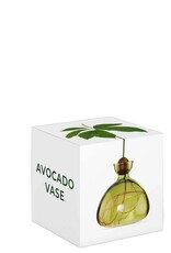 ILEX STUDIO Avocado Vaas Grass Green