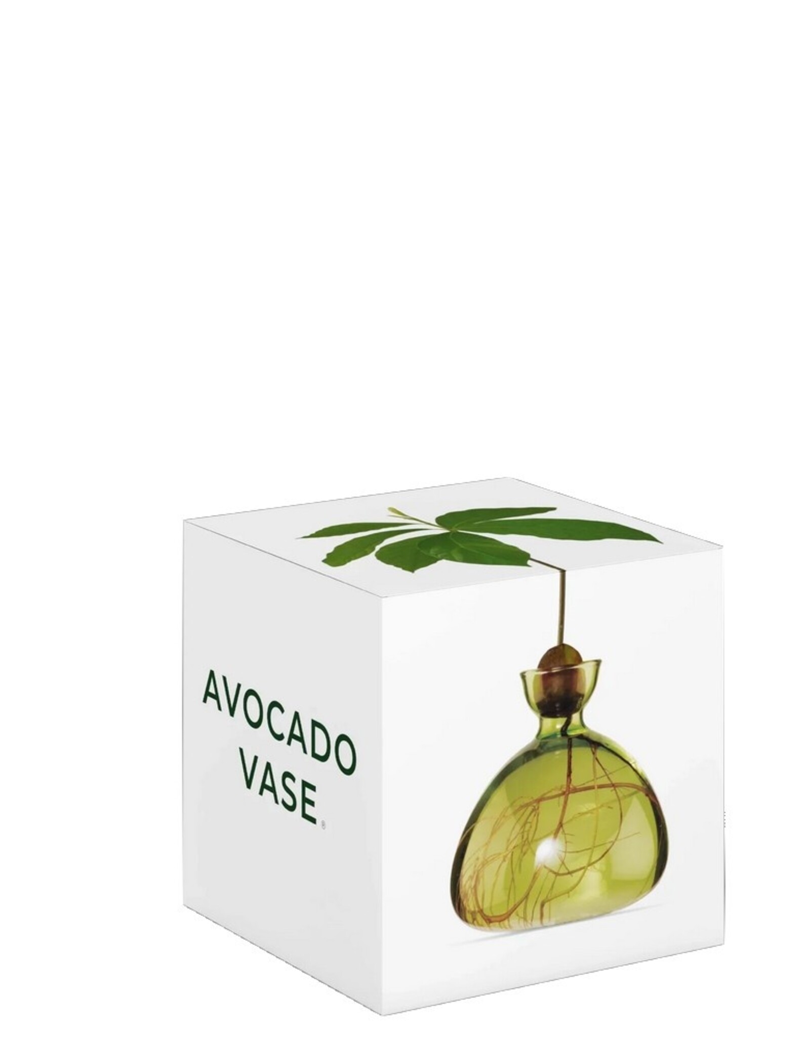 ILEX STUDIO Avocado Vaas Grass Green