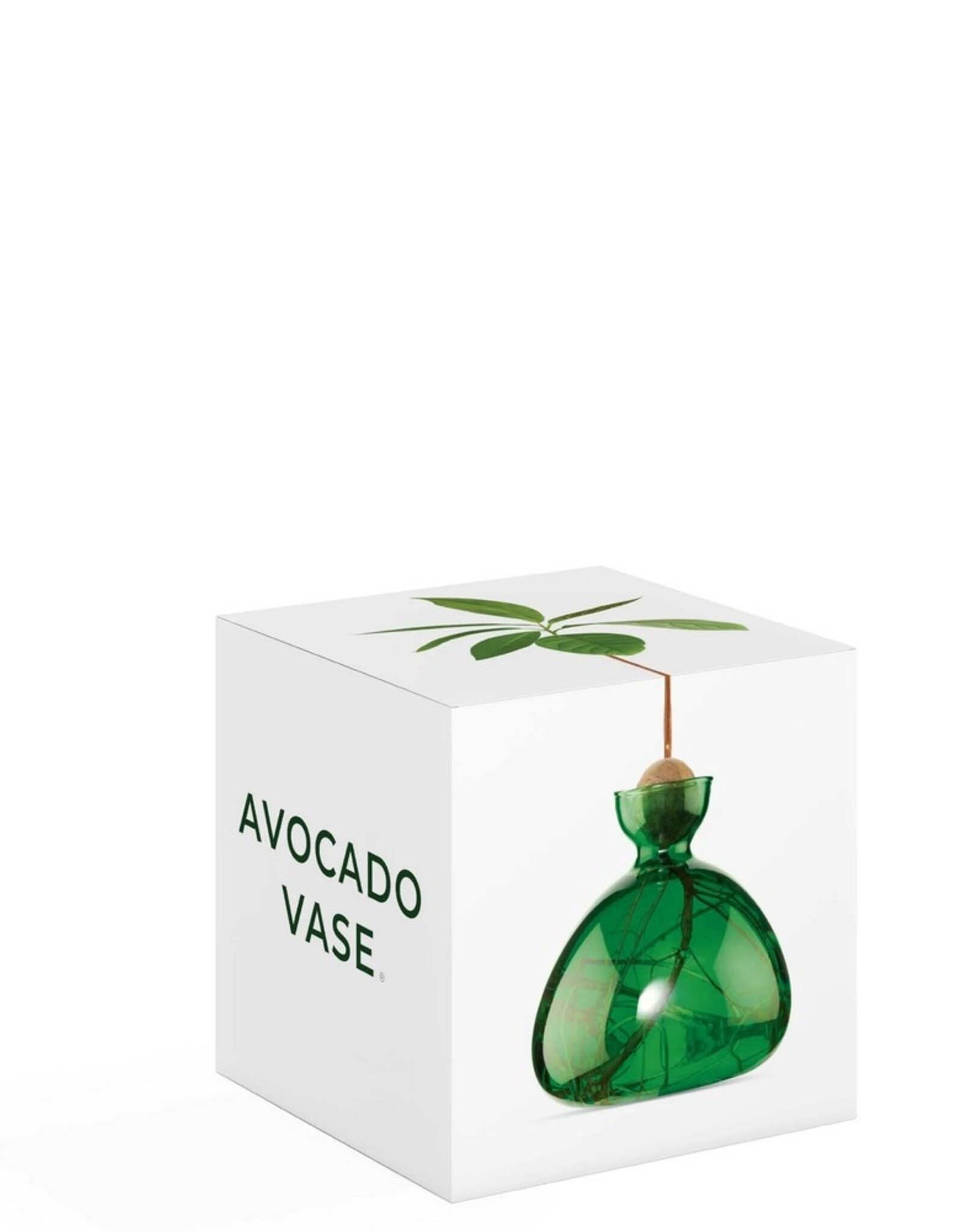 ILEX STUDIO Avocado Vaas Emerald Green