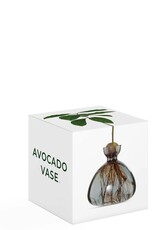 ILEX STUDIO Avocado Vaas Smoke Grey