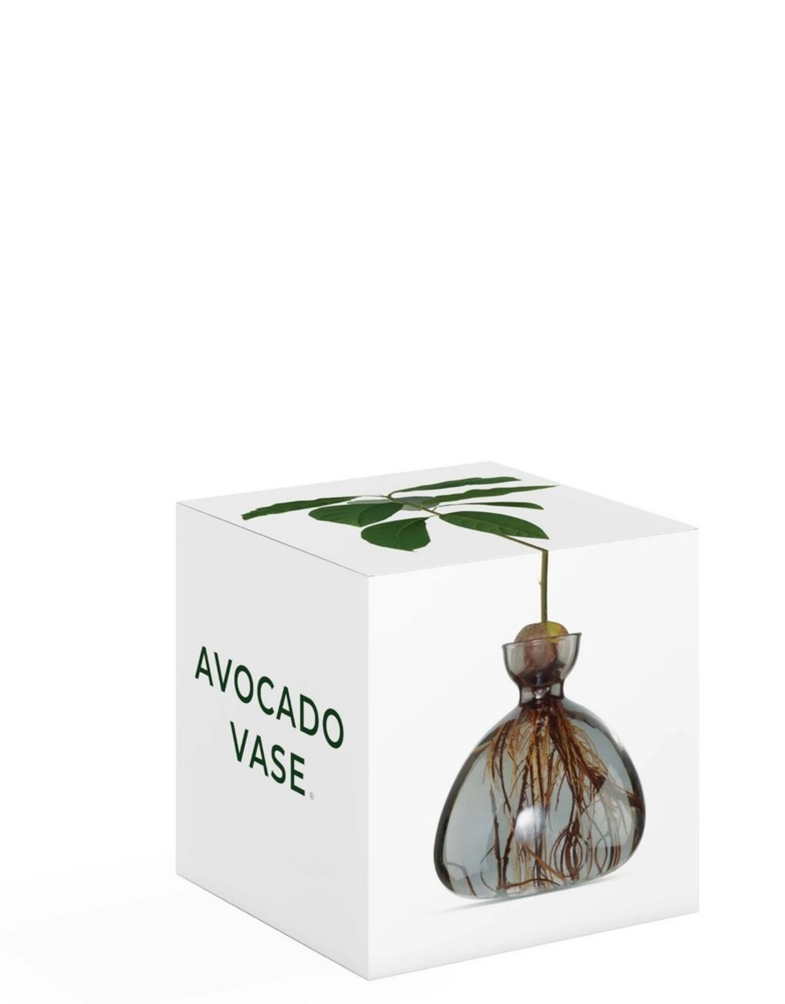 ILEX STUDIO Avocado Vaas Smoke Grey