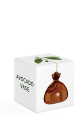 ILEX STUDIO Avocado Vaas Russet Brown