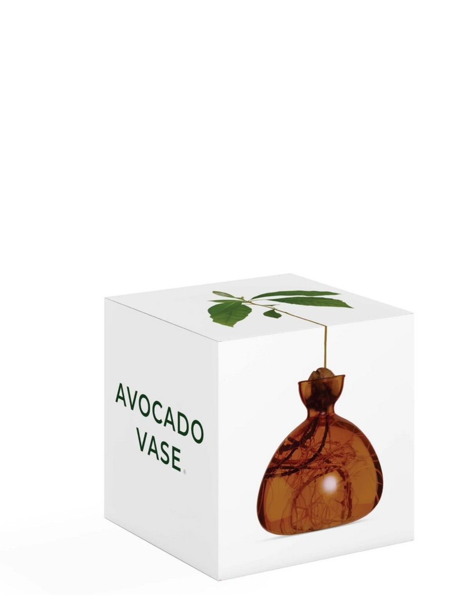 ILEX STUDIO Avocado Vaas Russet Brown