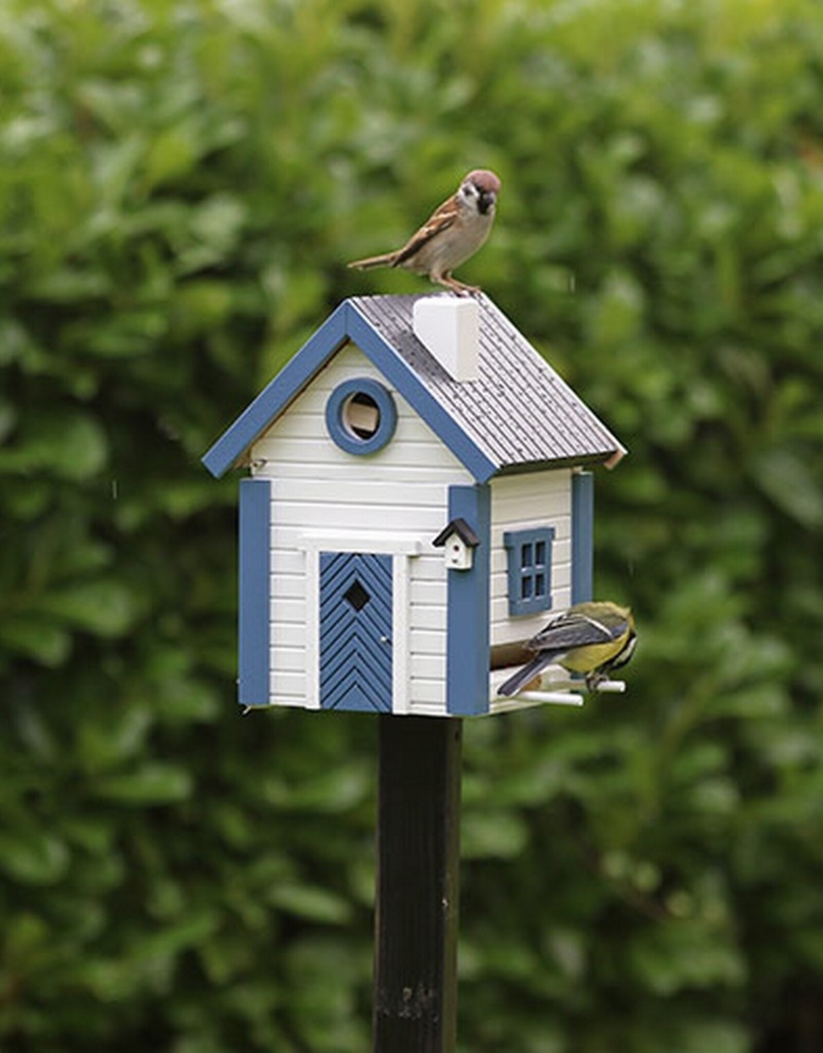 Wildlife Garden Vogel- en  voederhuisje Multiholk White and Blue Cottage
