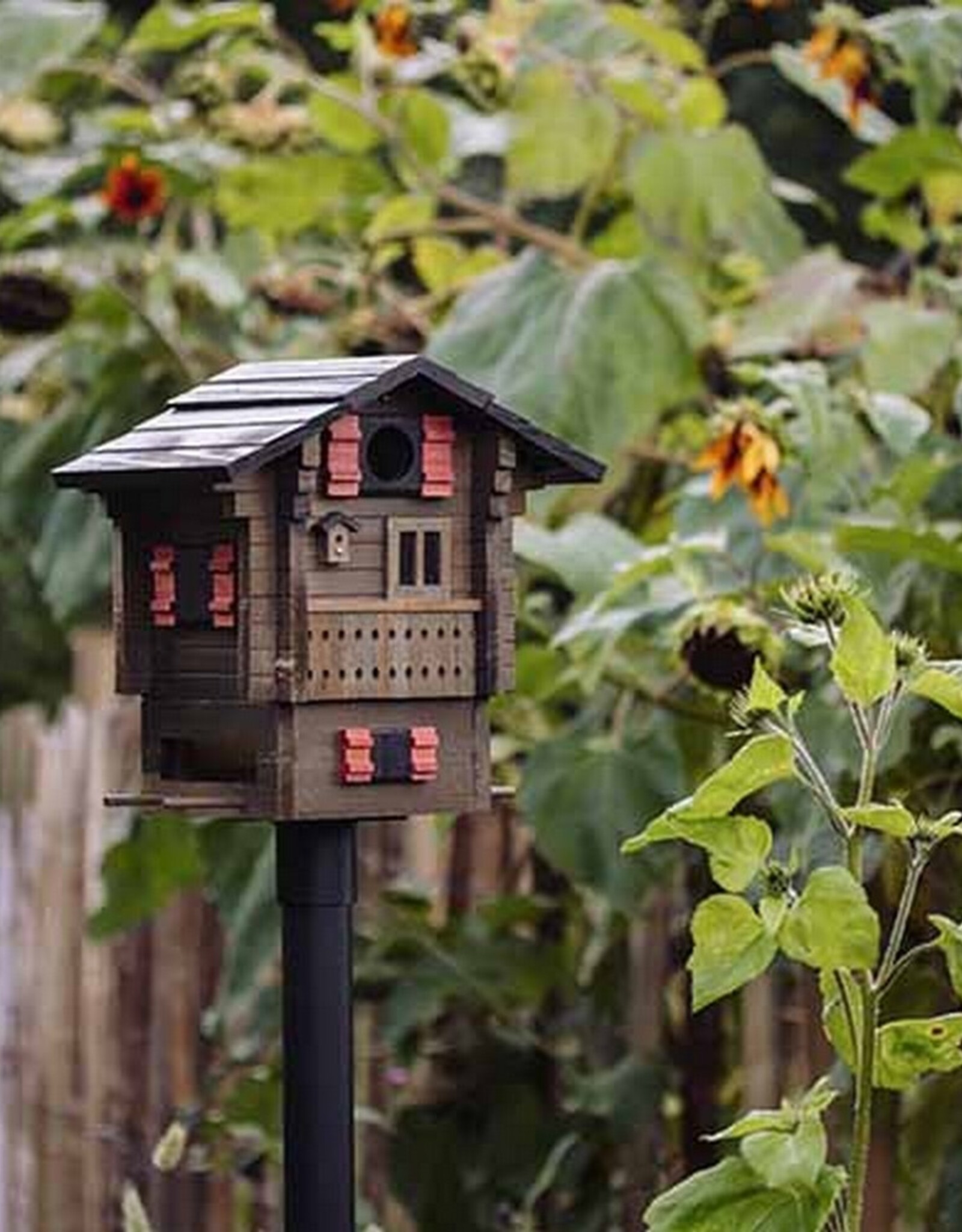 Wildlife Garden Vogel- en  voederhuisje Multiholk Mountain Cottage