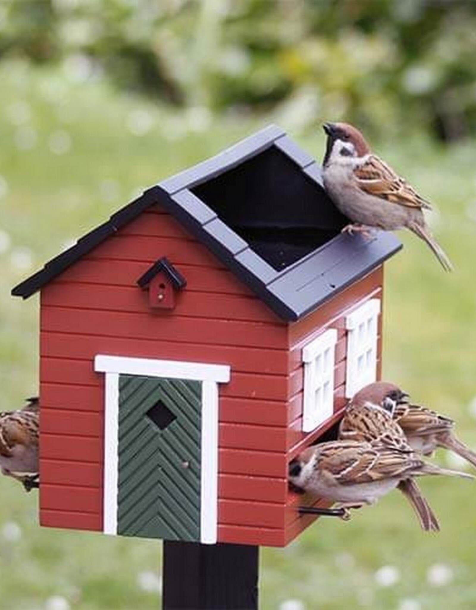 Wildlife Garden Voederhuisje met Bad Red House