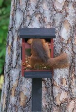 Wildlife Garden Voederhuisje Eekhoorn Rood
