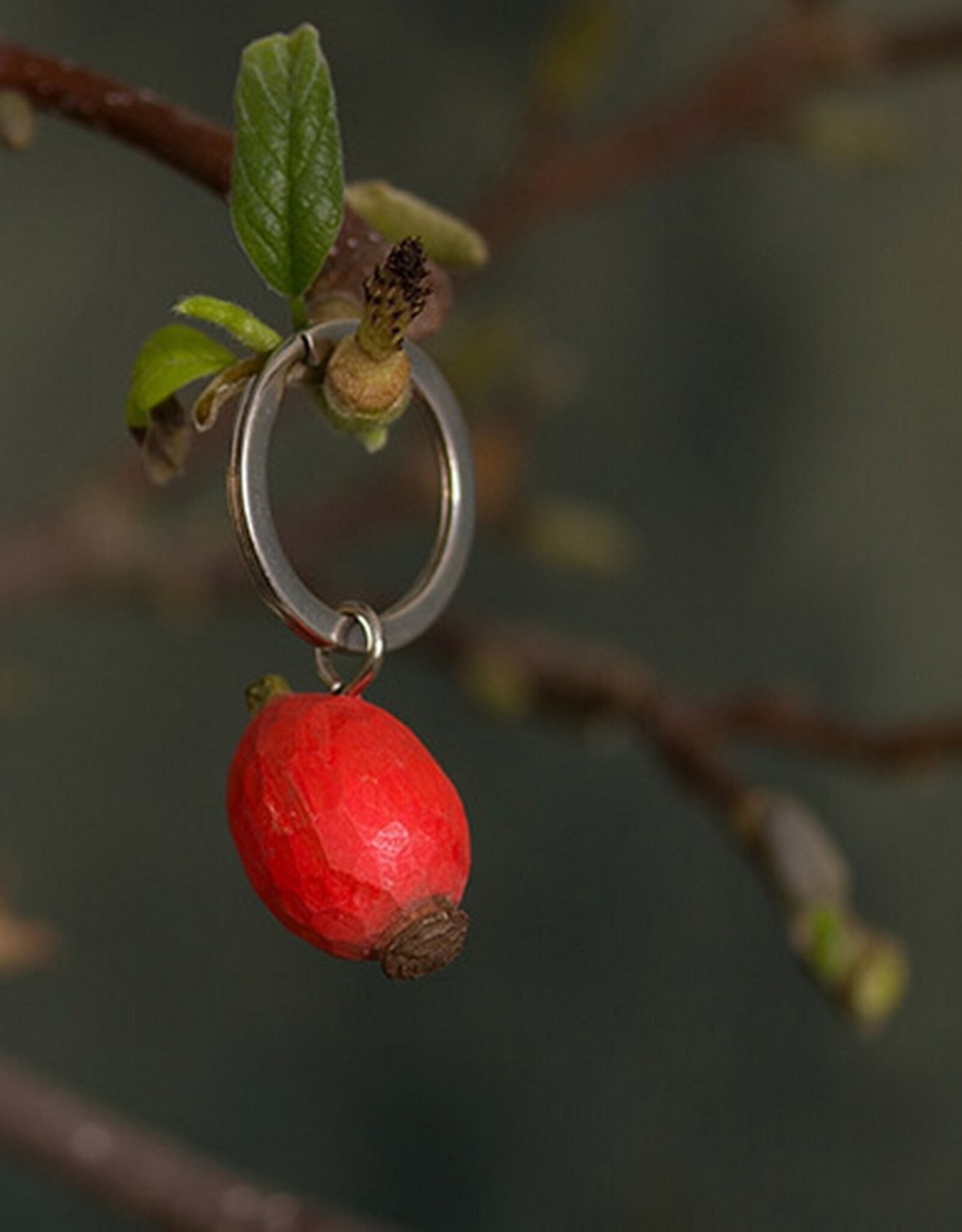 Wildlife Garden Sleutelhanger Rozenbottel