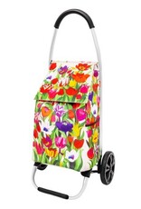 Pylones Boodschappenwagen Tulipes