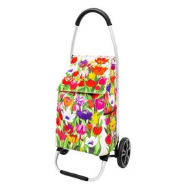 Pylones Boodschappenwagen Tulipes