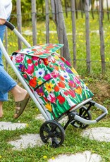 Pylones Boodschappenwagen Tulipes