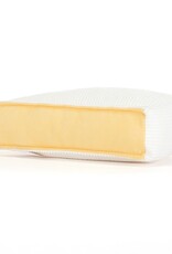 Jellycat Knuffel Amuseables Brie