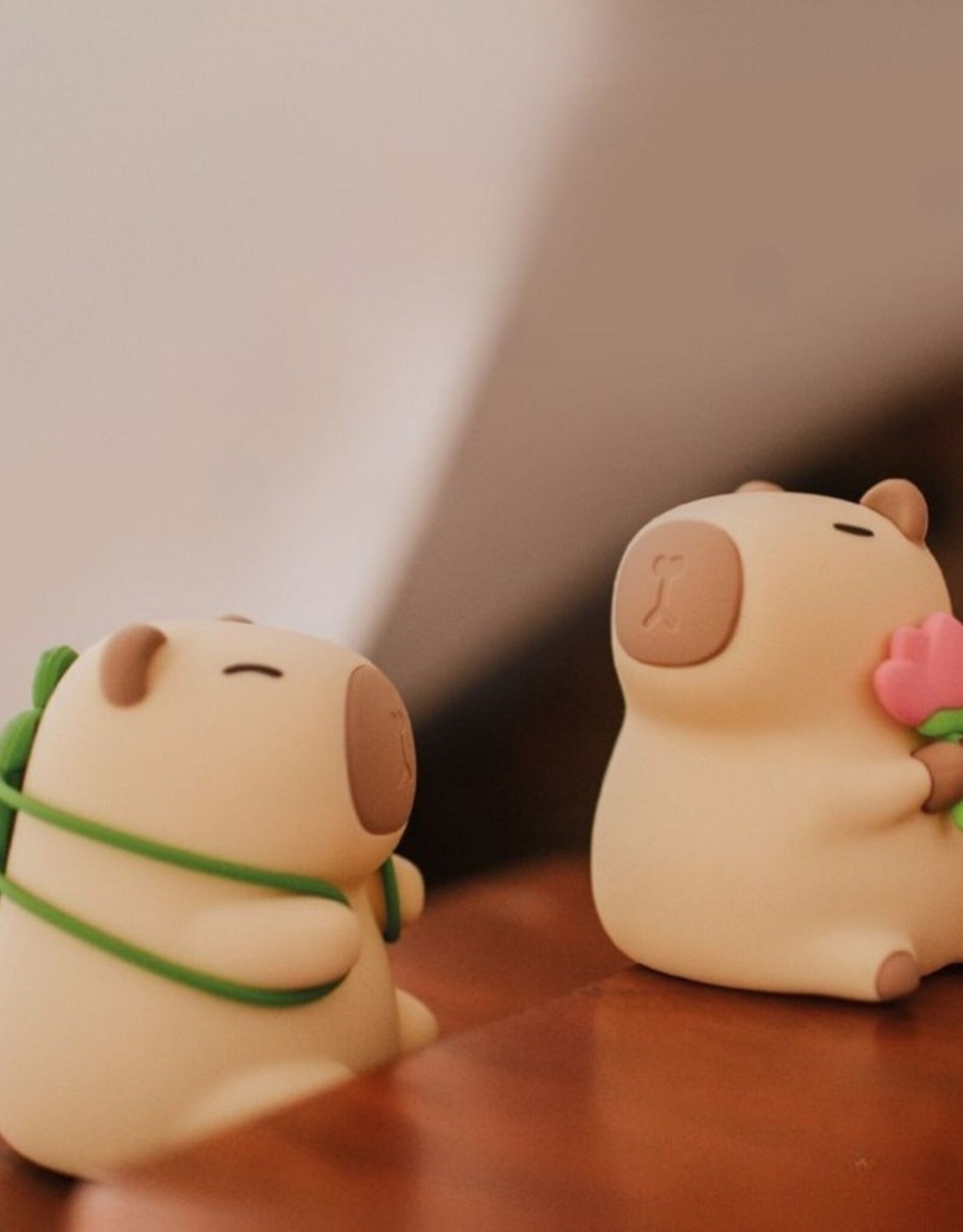 Mary's Nachtlampje Capybara Florist