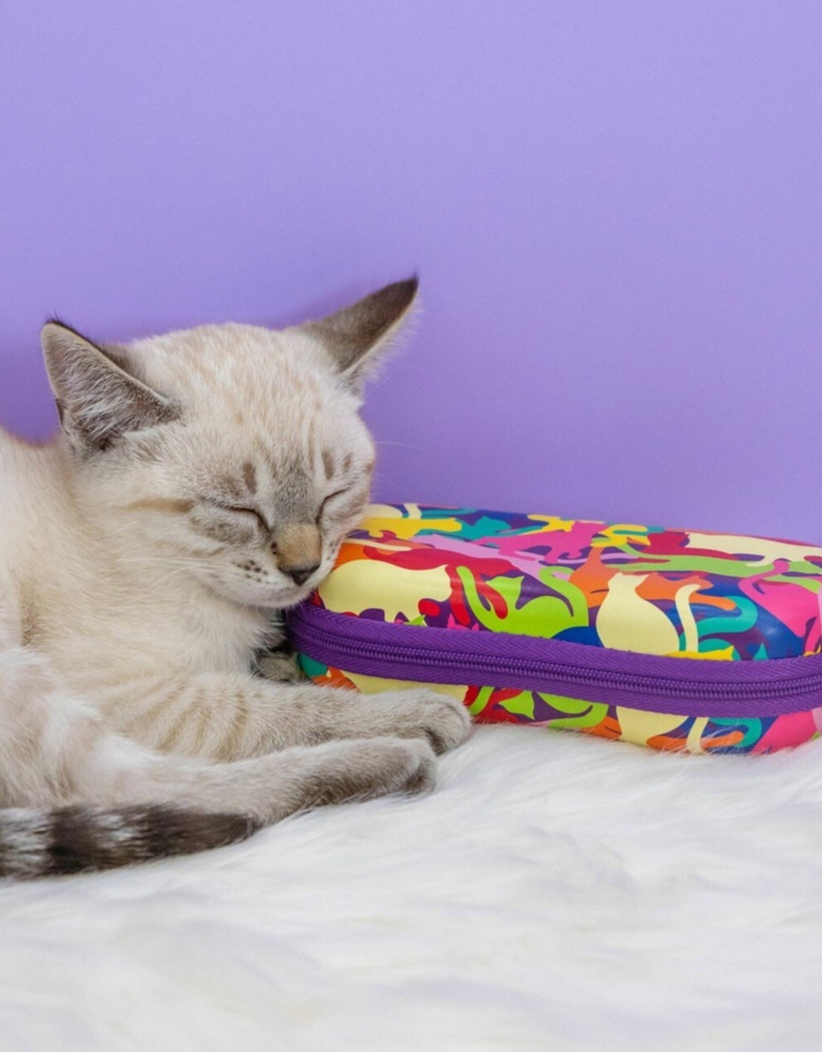 Pylones Brillenkoker Chamouflage