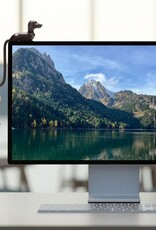 Monkey Business Rusty Screen Hook