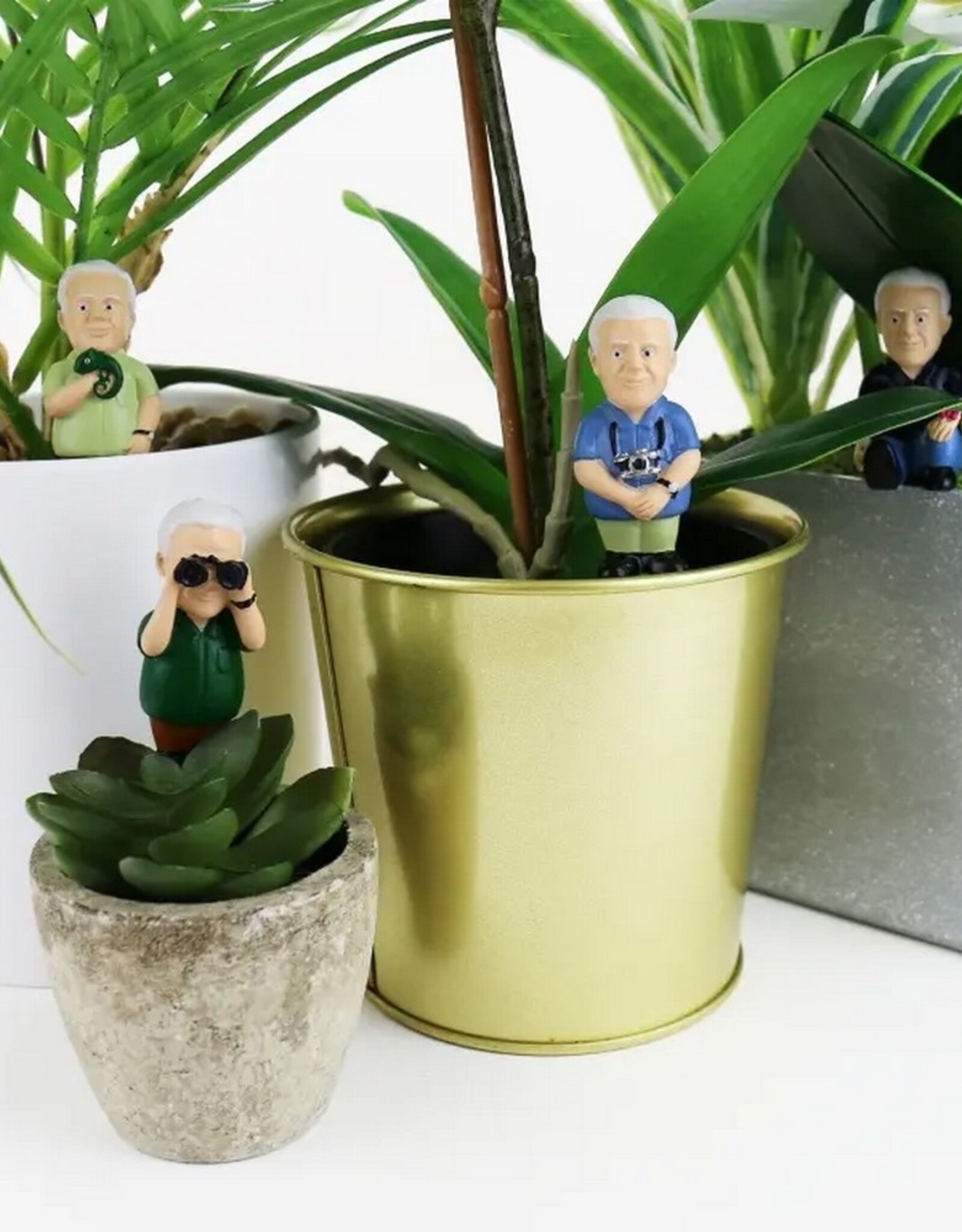 Gift Republic Mini Plant Pot Attenborough Explorers