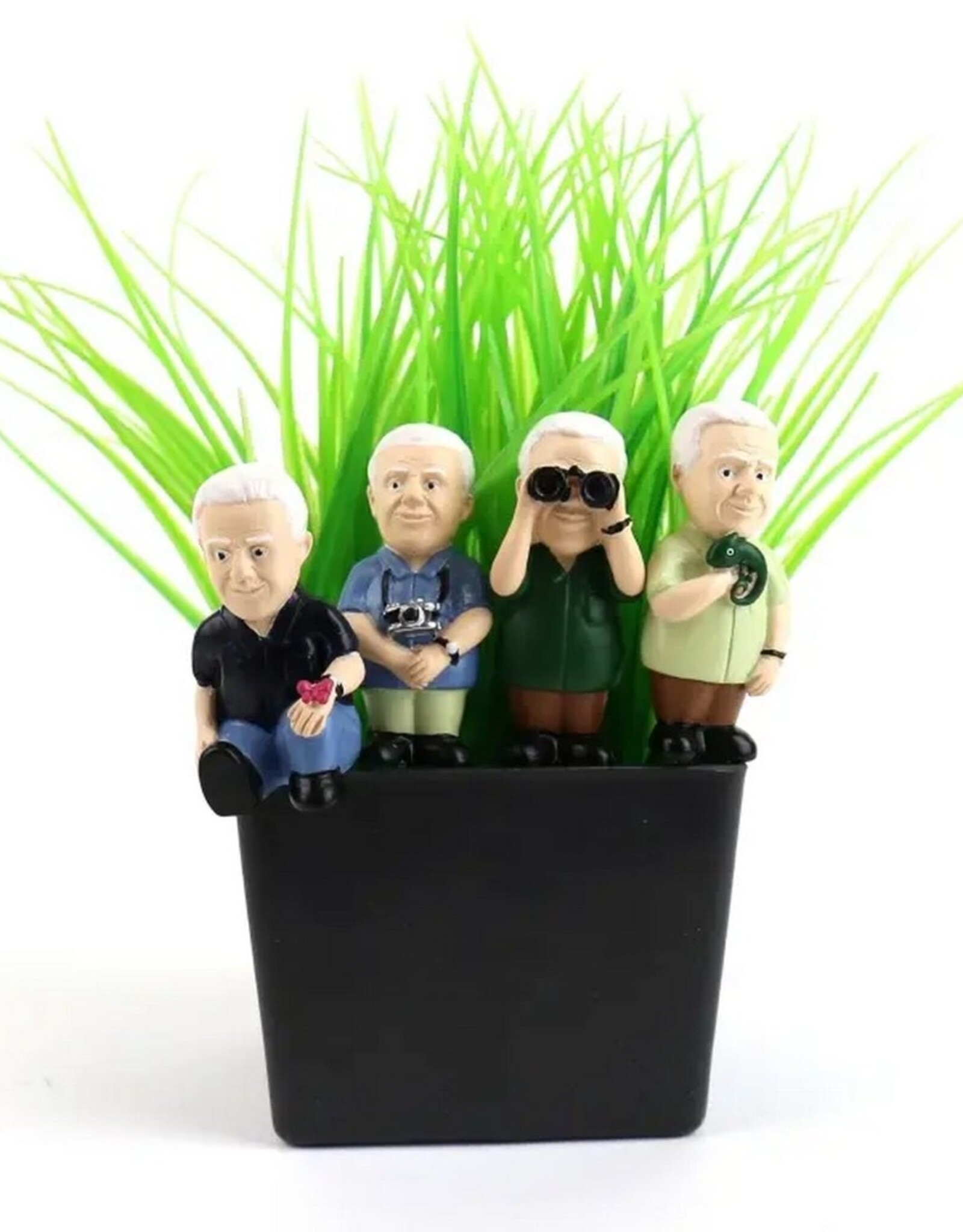 Gift Republic Mini Plant Pot Attenborough Explorers