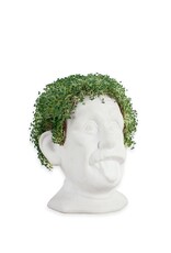 MAGS Vertrieb Genius Chia Planter