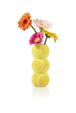 Bitten Vaas Ace Tennisbal