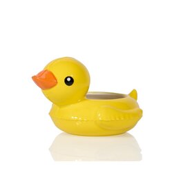 Bitten Planter Floaty Duck Pot