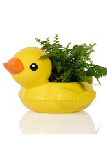 Bitten Planter Floaty Duck Pot