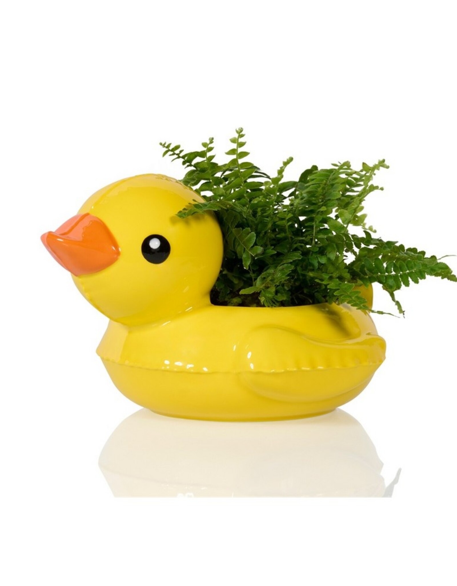 Bitten Planter Floaty Duck Pot