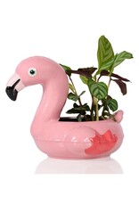Bitten Planter Floaty Flamingo Pot