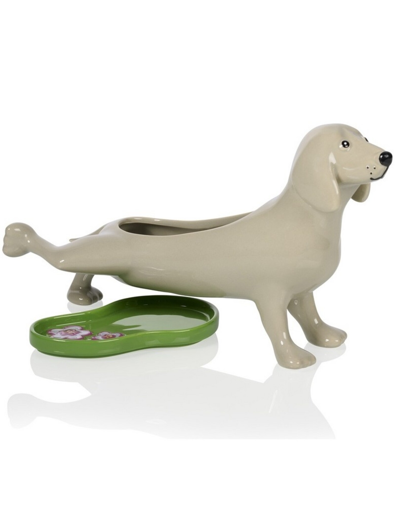 Bitten Planter Peeing Dog