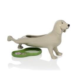 Bitten Planter Peeing Dog