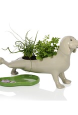 Bitten Planter Peeing Dog