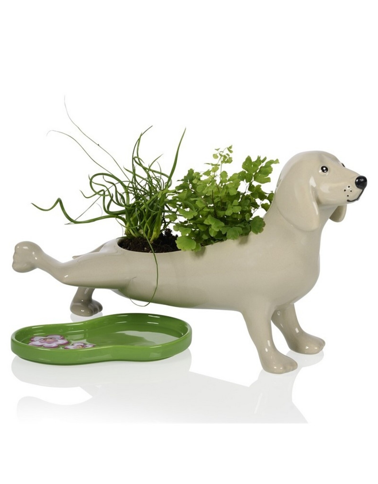 Bitten Planter Peeing Dog