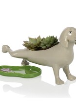 Bitten Planter Peeing Dog